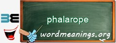 WordMeaning blackboard for phalarope